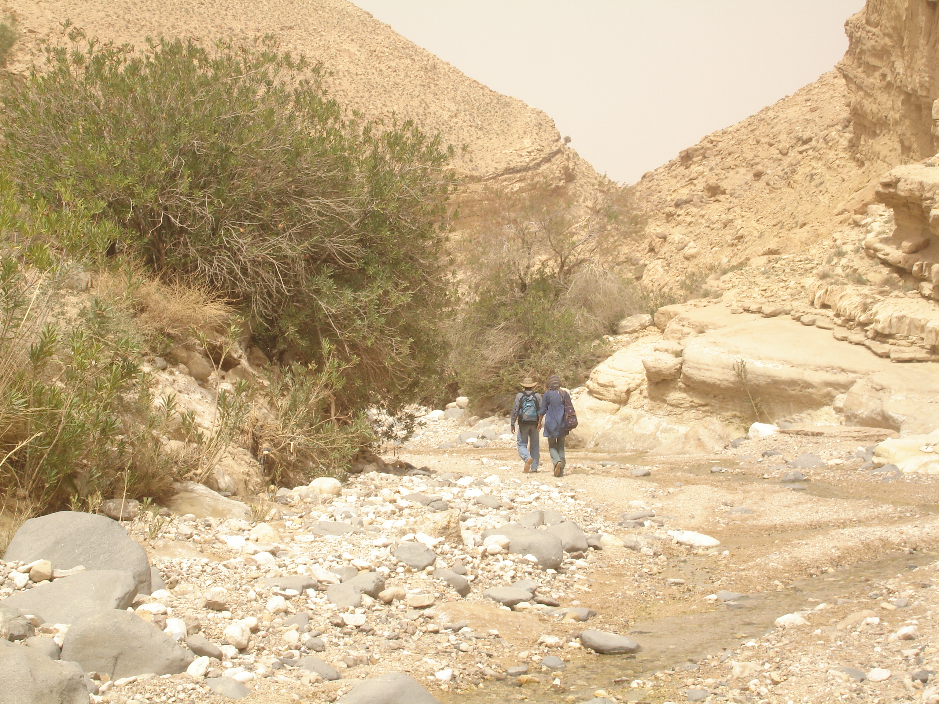 Hiking from Dana wild reserve to Petra ,hiking dana petra