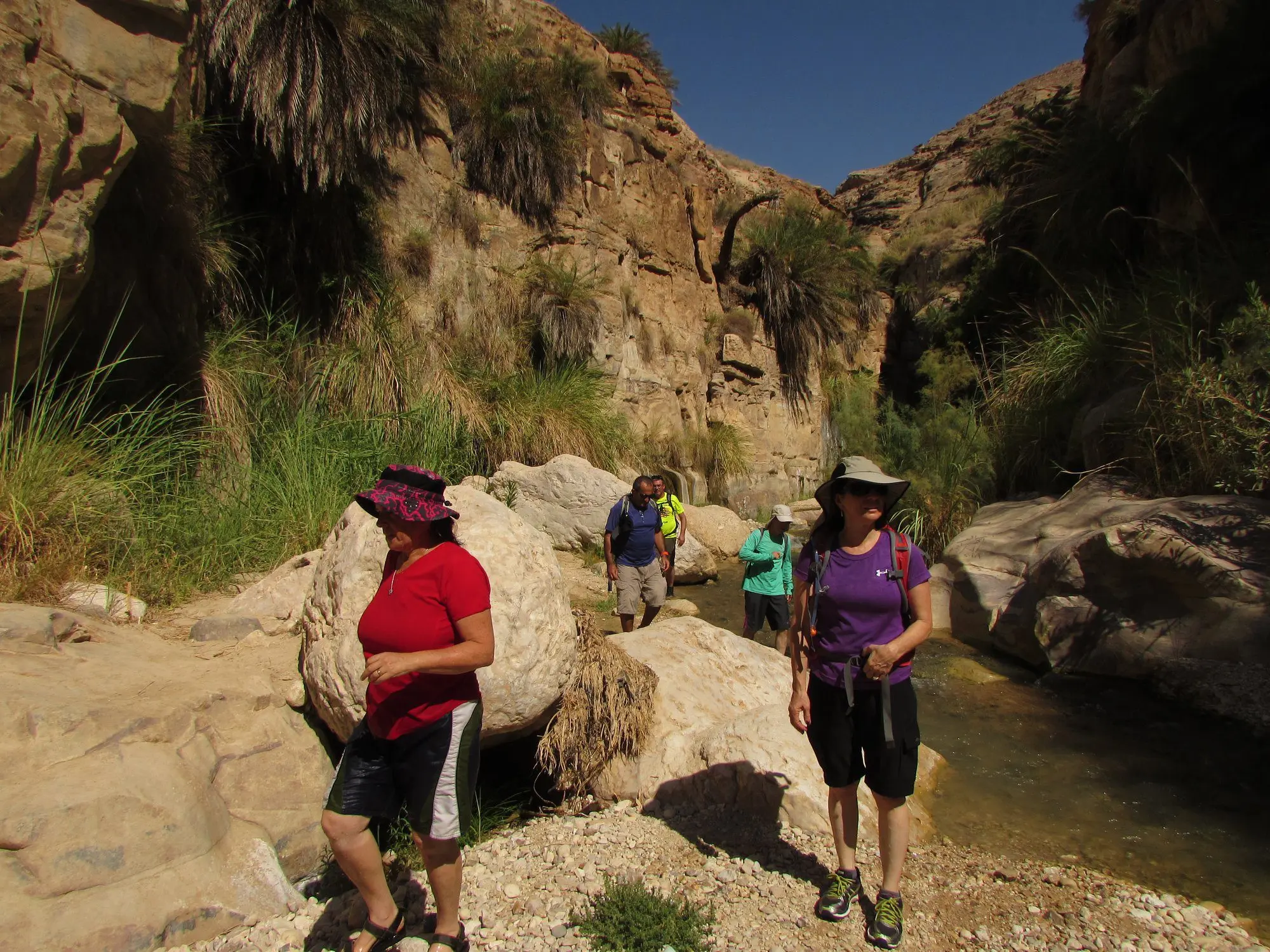 wadi mujeeb 2